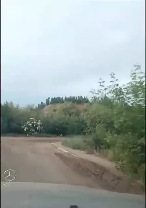 "����, ����! ������!". �������-�������� � ������ ������ ��� ������� �� ������� ��� � �������� � ���, ����� � ������������ � ������ ��������� ������� ���