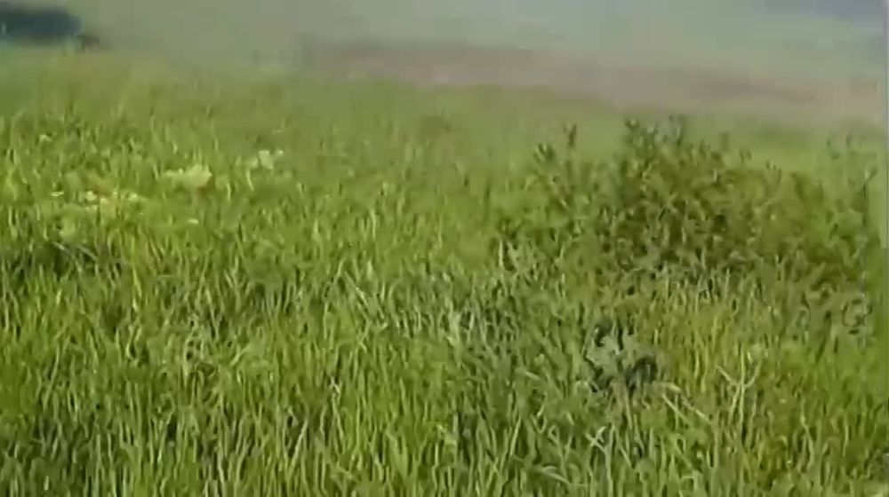 "�� ������ ����� ������� � ��������" - ����������� ����� ��� ��������� ������ ���� "����" � ������� ������� ���