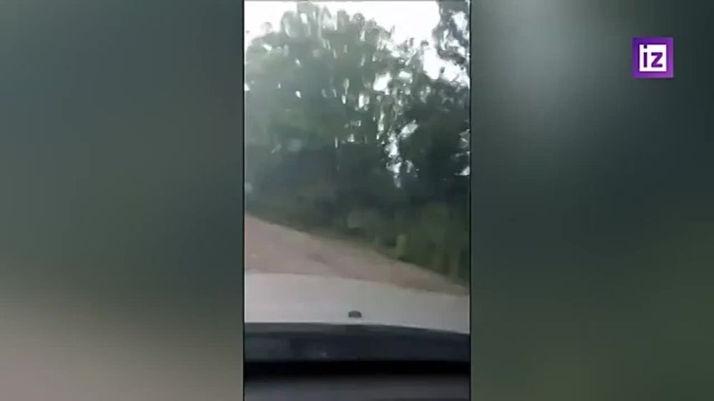 ���������� ������������ ����� ������� ����� �� ��������