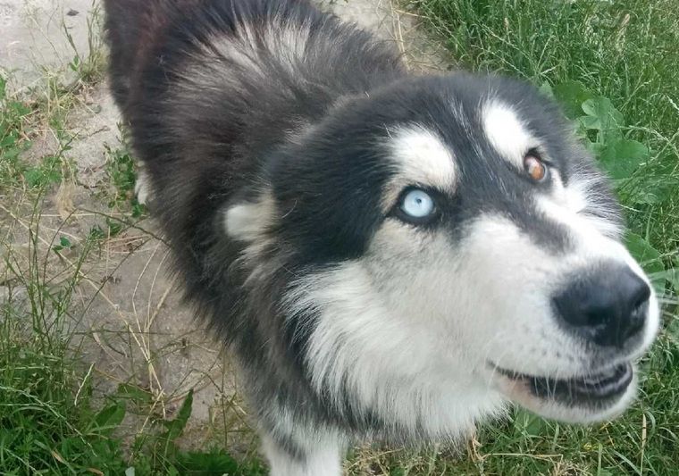 ����� �� ����� �������������� �� �������� ��-�� ������