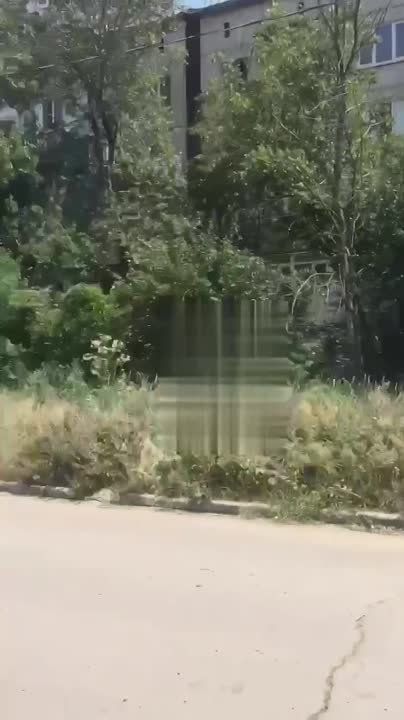 ���� � ����� � ����� ������ � ������������������ ������ ��������