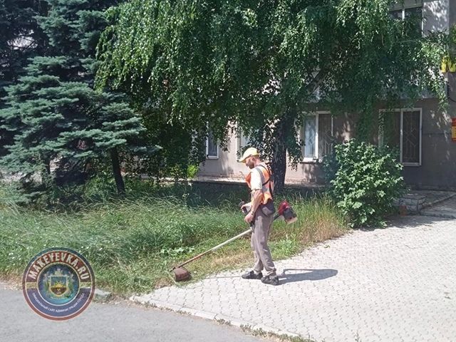 ���������� � ������ ������������ ����� 04.07.2022