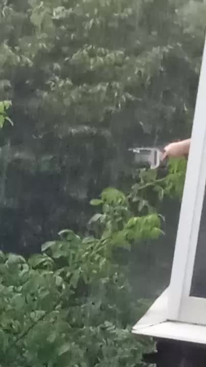 ����� � ��������.