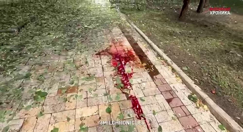 ������� ������ ����� �������