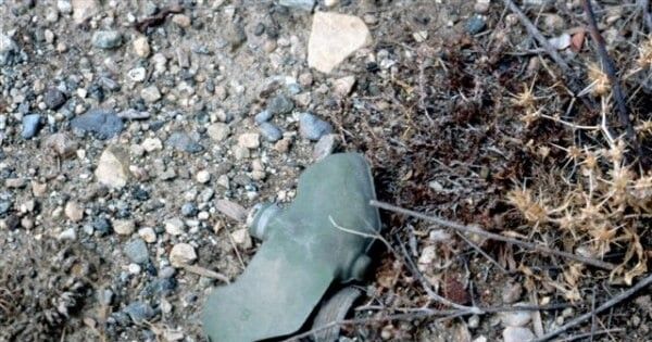 ������ ������ ���������� �� ��������� � ���������� ������ �������