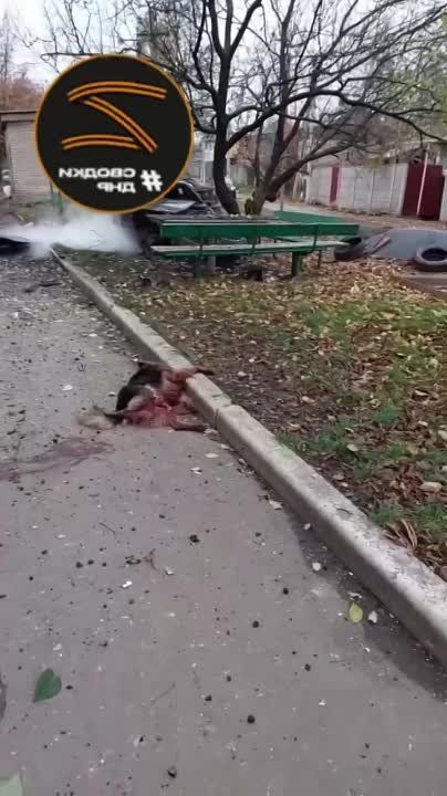 ��������, ���������, ����������� �������� ������� �� ������� ���