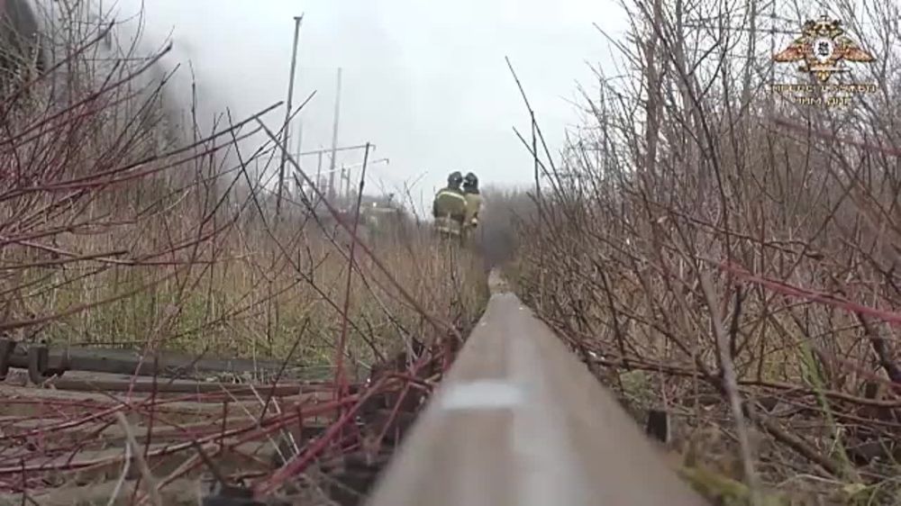 ��� ���������� ������������������ ����� ��������