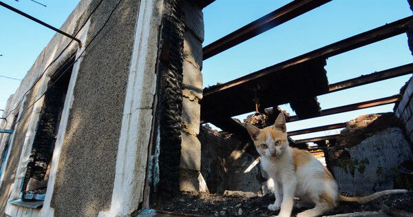 ������� ������� ����� ����� ���������� ���������� � ���� ������� ����������