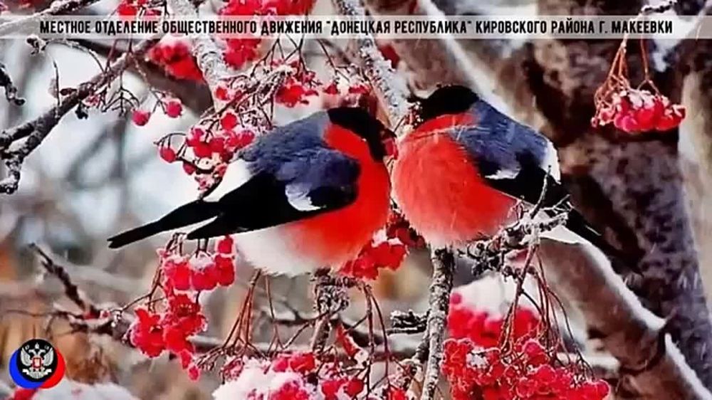 ��� ��������� �������� ��������� ������������ �������� ��������� ���������� ���������� ������