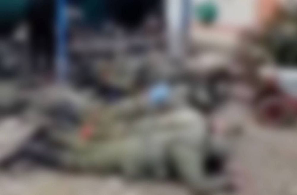 ������� ����� 04.01.23 ����� ��� ������ ���� ����� ��� ����� ��������, ������� ������������ ����� ������ � ��������