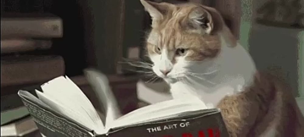 �������� �������� � ������� � ������ �������� � ��������� ������� �� 2022 ����