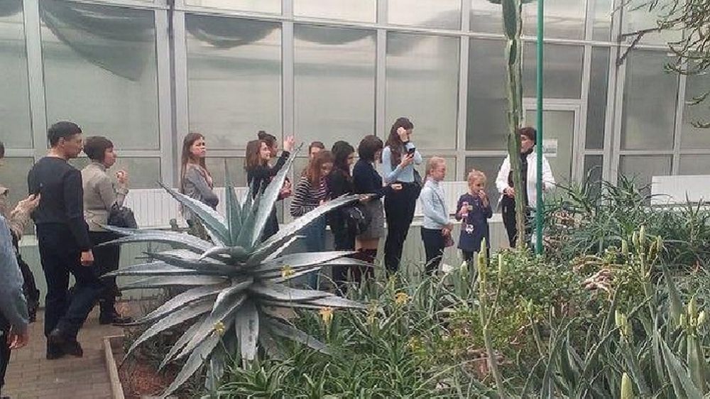 � ��� ��������� ������� ���� ������� ������������ �����