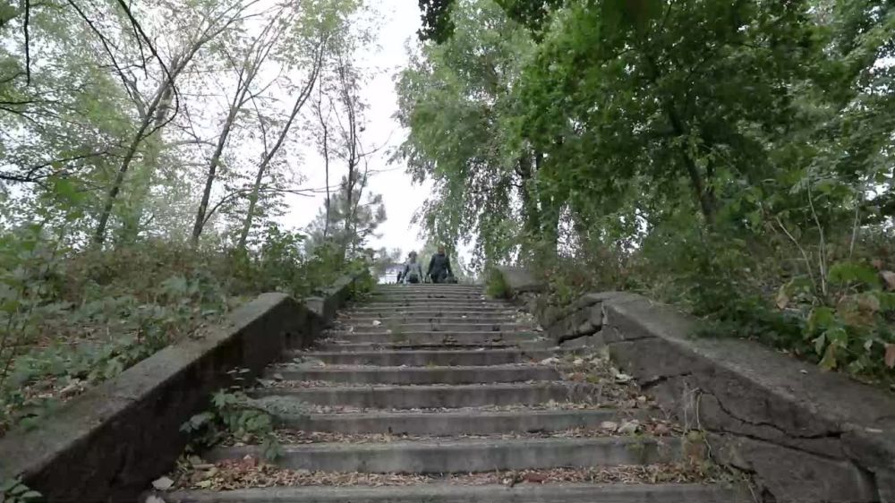 ������ ����������: ������ ����� � ������ ������������ � 3 �����