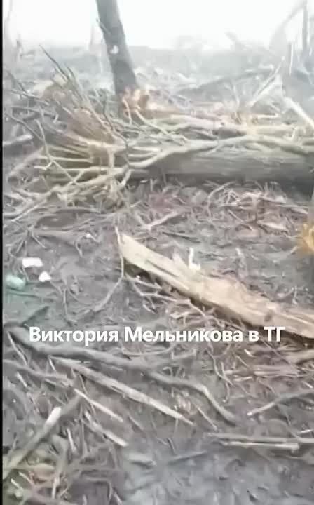 �������� ����������: �׸���� ����� ��������� ������!