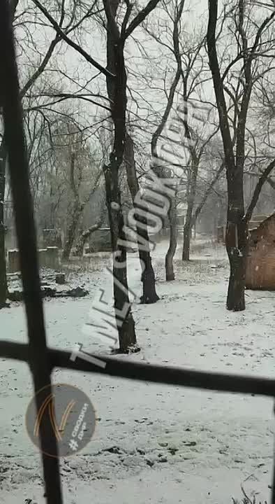 ������ � ��������.
