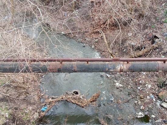 � �������� ����������� ������� ������������� �������� �����������