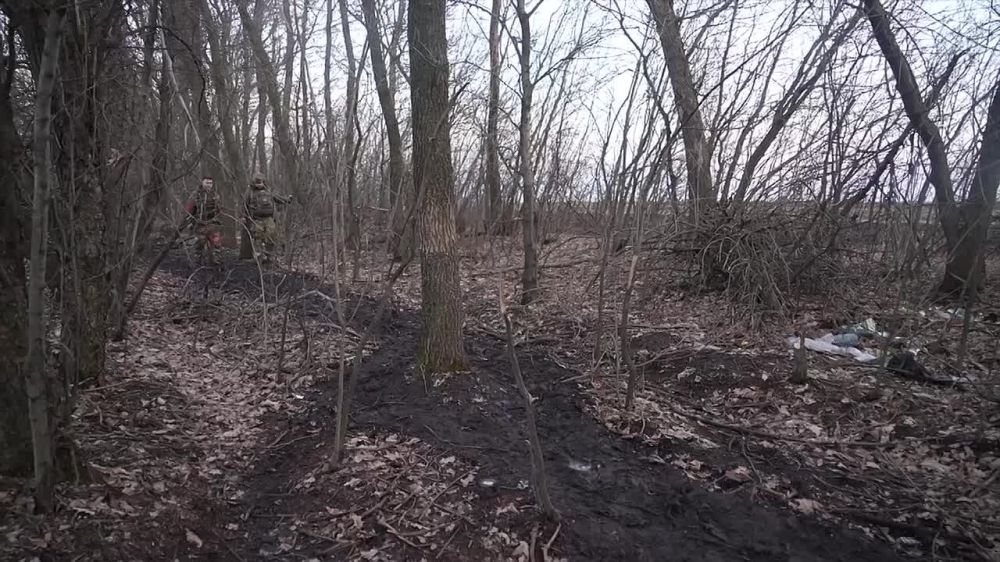 ������� ��������� � ���������� � ������������ � ���� ���: