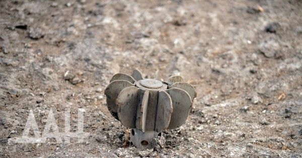 ���������� ������� � ������ ����� ��������� ����� 30 �������� �� ������� � ��������