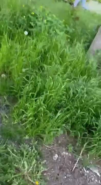 �������� - �������. ����������� �������� �����