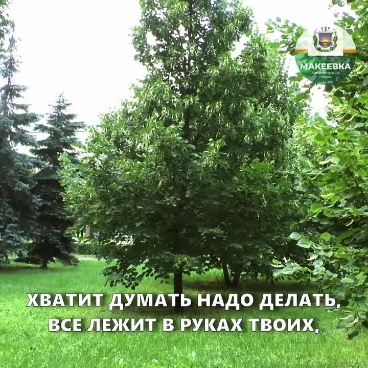 ��������.... ������ � �������