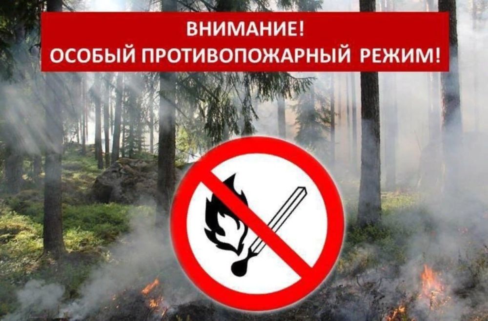 � ��� ������ ������ ��������������� �����