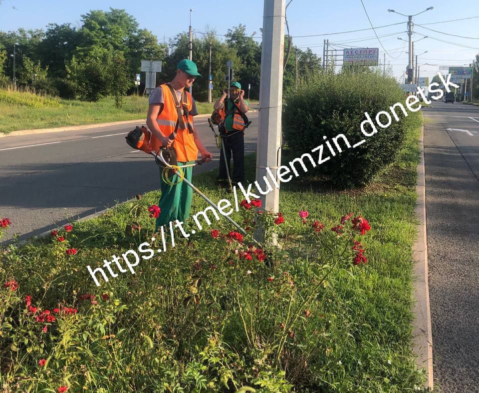 ������� ��������: ������� ����������� ������������ ����������� ���������� ����� ����� �� ���� ������� ������