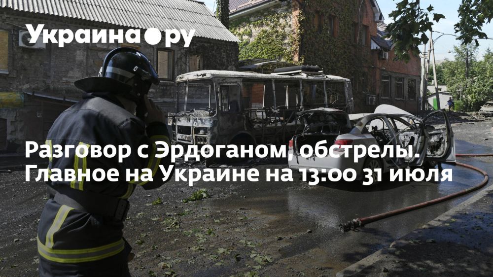 �������� � ���������, ��������. ������� �� ������� �� 13:00 31 ����