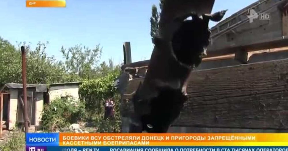 ��� �� ���� ��������� ����� 50 �������� �� ������� � ����������