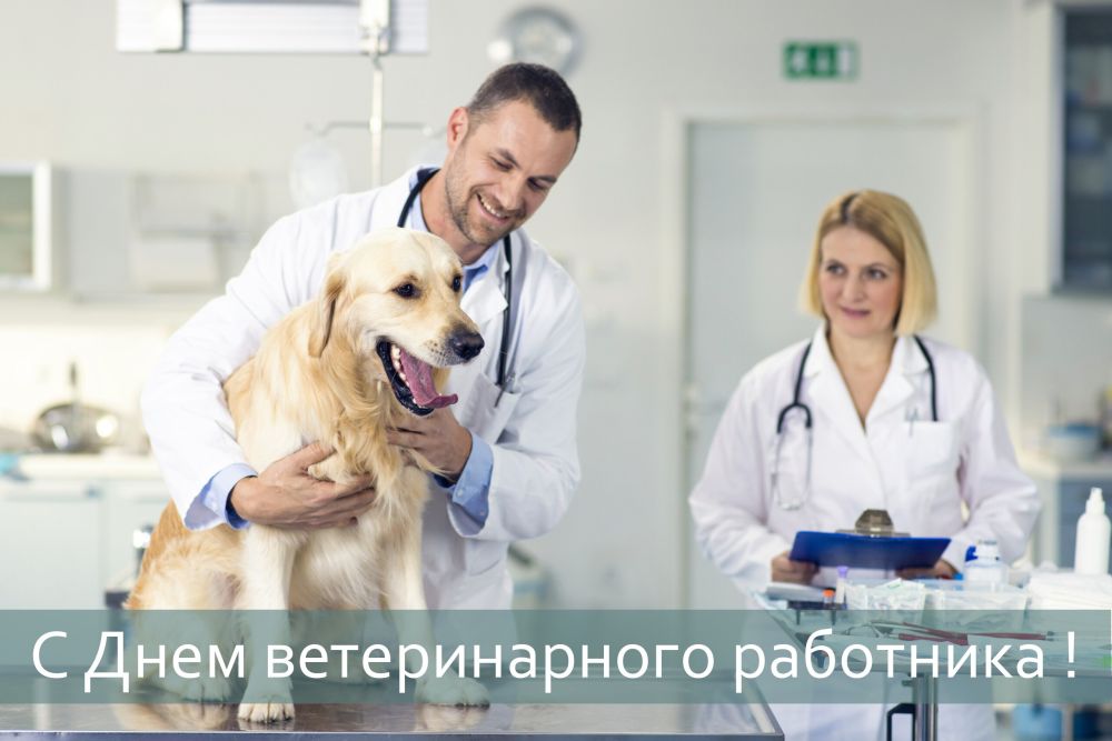 ��������� ��������: ��������� ������������ ���������!