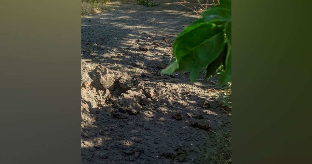 ������� ��� ��������� 10 ��������� �������� �� ��������