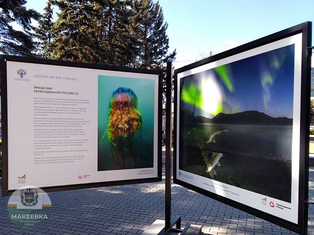 ������� �������� ������ ��� ������������ ������ ��������� � ��������