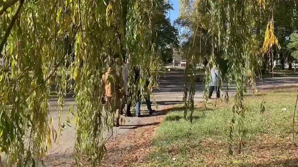 � �������� � ������� ������� �������� ���������� ���� ������� ��������