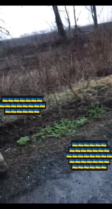 ��� �������� ������� ��� ���������� ���� � �����, ��� ��� �� ��������� �� ��� ���� �������, �� ����������� �� ���������� ��� ��� ���. ���������� �����������