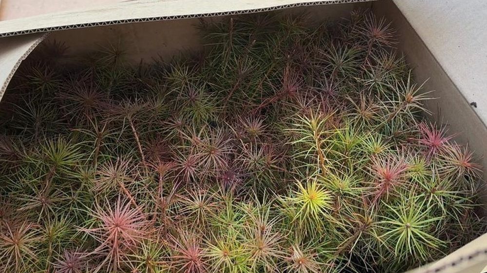 ������������� ������� �������� ��� ��������������� ����