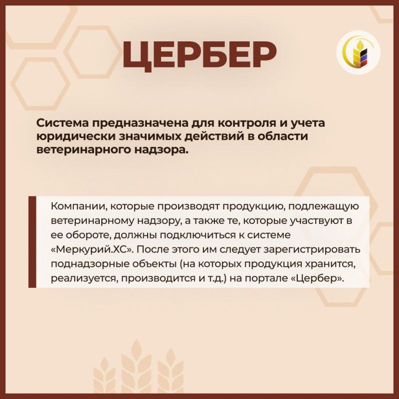 ��� ���������� ������ ����������� �� �������������� ���������