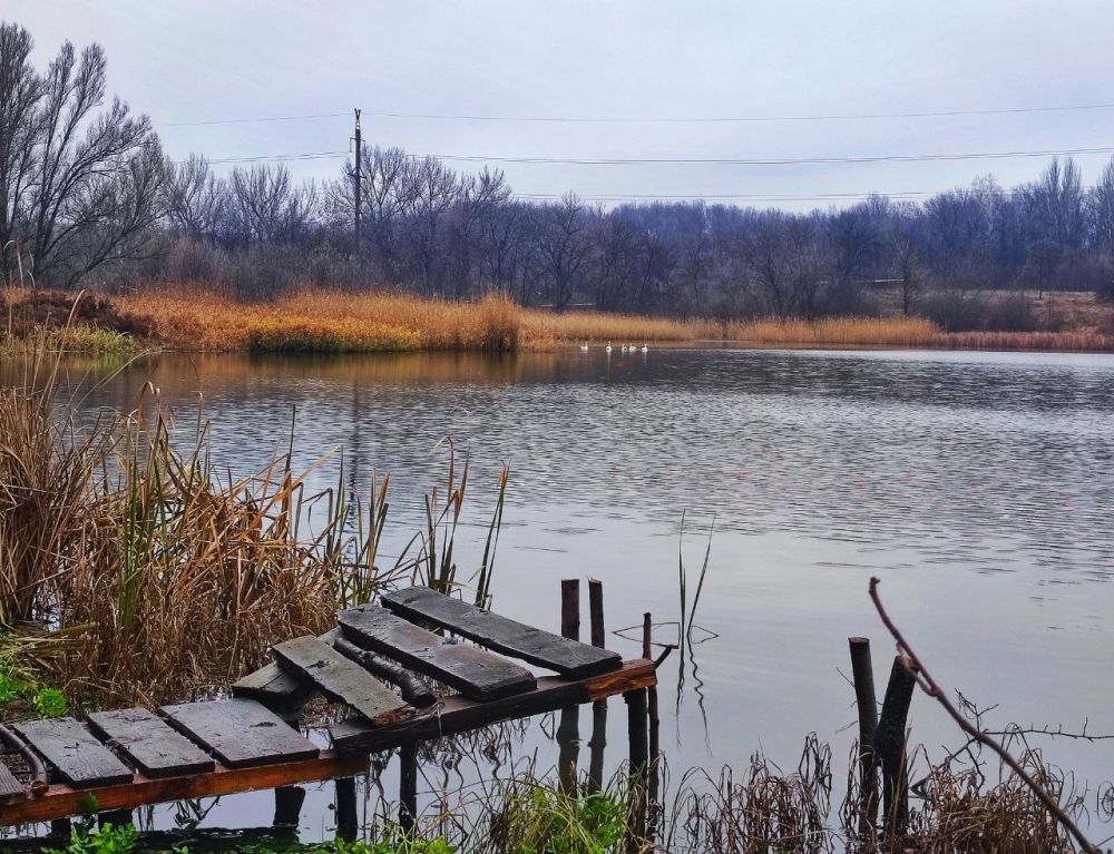 ��������� ��������: ���� ���������� � ���� �����������, ������� ����� ������ �� ����� �� ����� ��������� �������