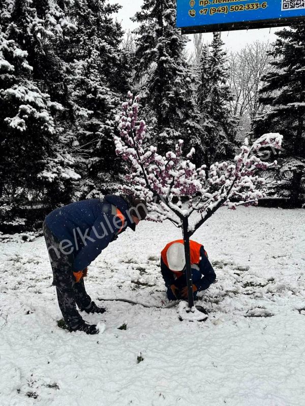 ������� ��������: 30 ������ ��������� ����������� �������������� ������ ����� � �������; ��������� �������� ���������...