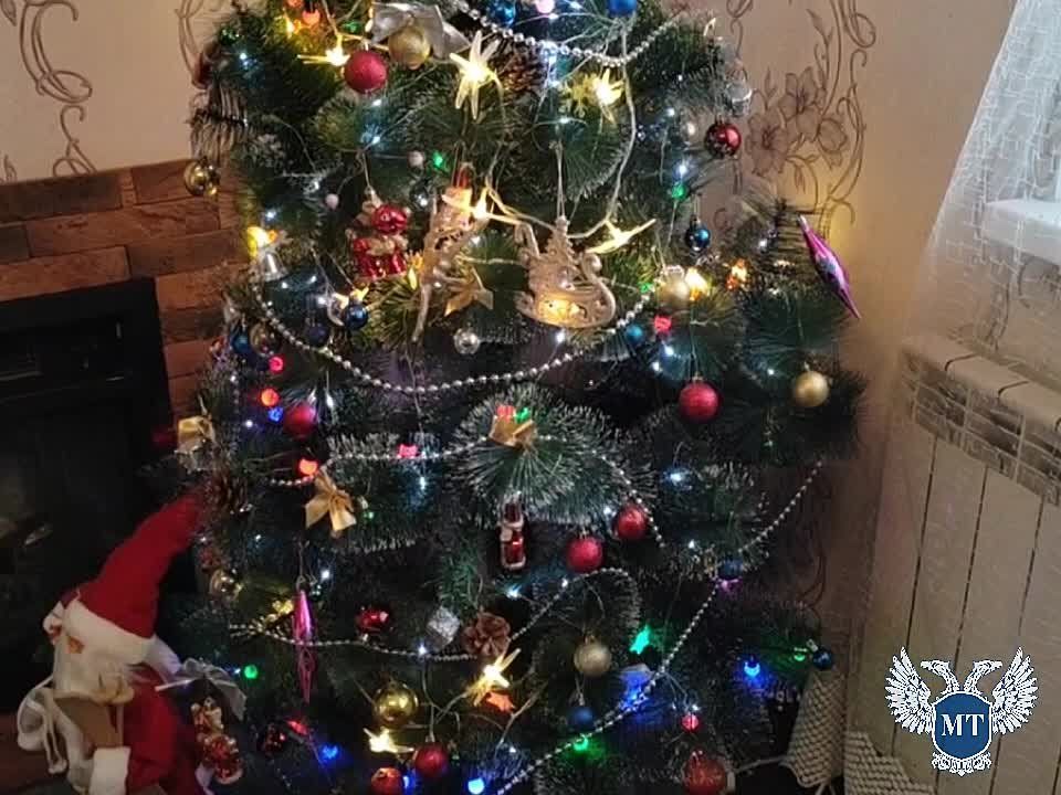 �������� ������ ���� �������� ������� �������� ������� ����������� ����