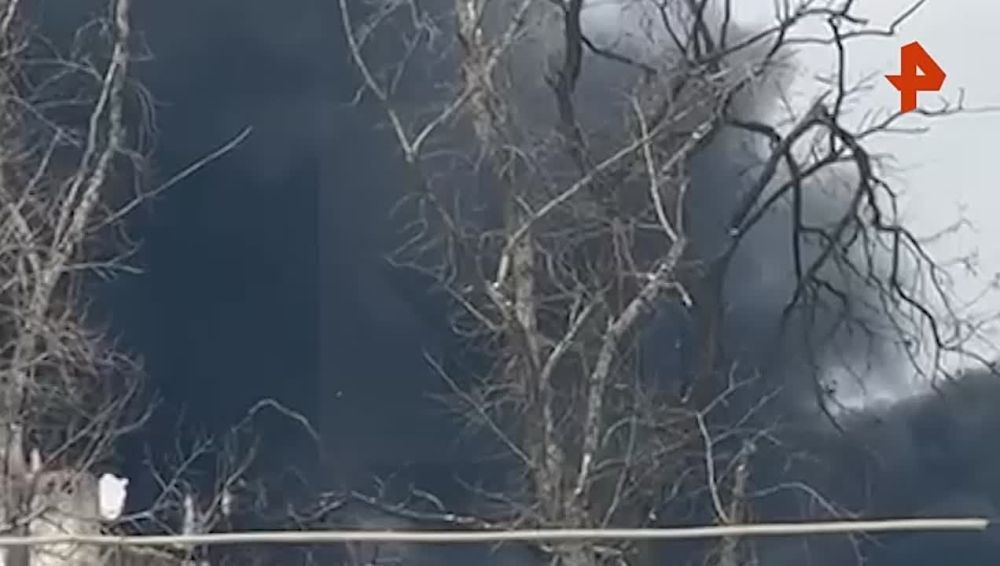 �������� ����������� �������� �� ���� �� ������� ���