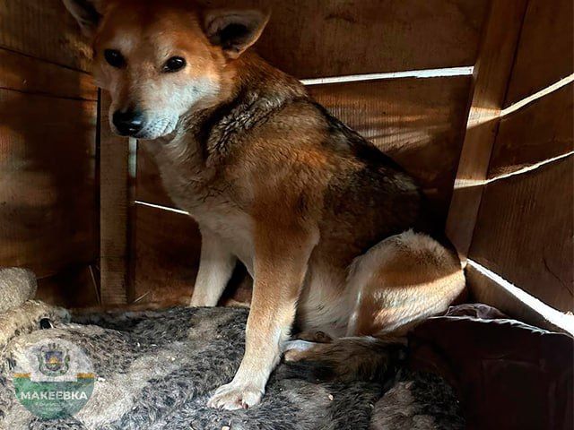 �� ��������� ����� �������������� ����������� ���������� ������ �������� ���������� ��������� � ������ �������������� ������ �� ������������� ����������� ������������ ��������