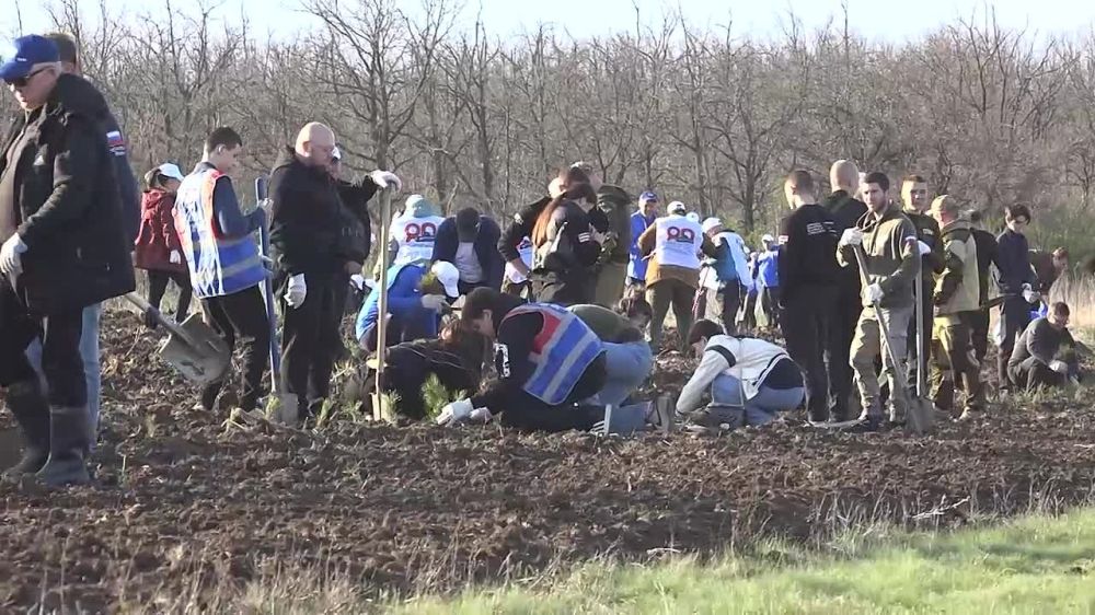 ��������� ���������: ������ ������� � ������� ������� ����� � ������ ����� ���� ������ � ���������� ������������� ������