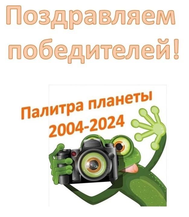 22 ������ ��������� ����� ���������������� ���������-�������� ���������� � ����������������� �������� "������� ������� 2024"