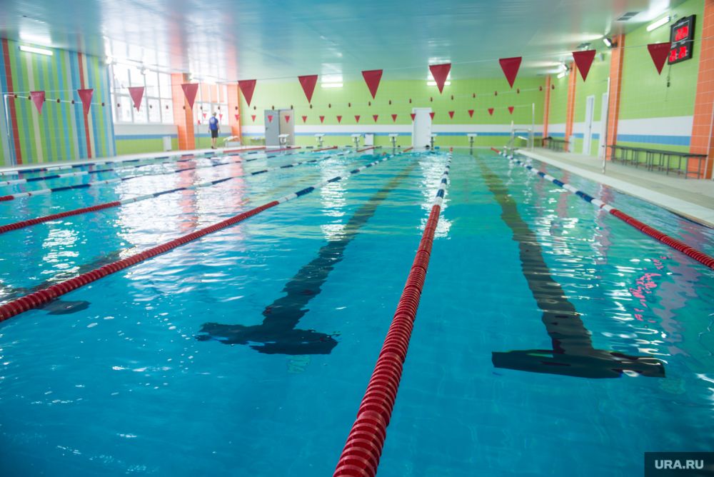 ������ ���� �������� � �������� ������������� �������� � 4 ���������� ����