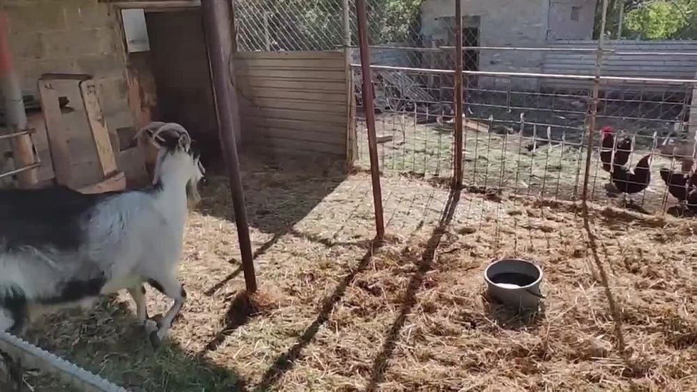 �������� ����� ������� ������� ���� �� �������� ��� �����