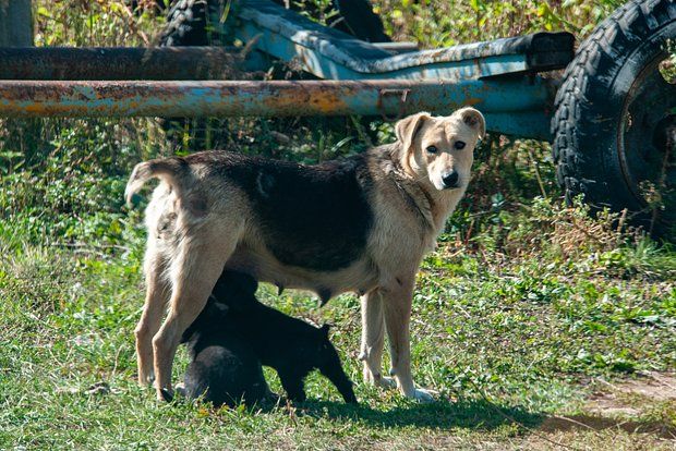 ����� ������� ����� ������� �� ��������