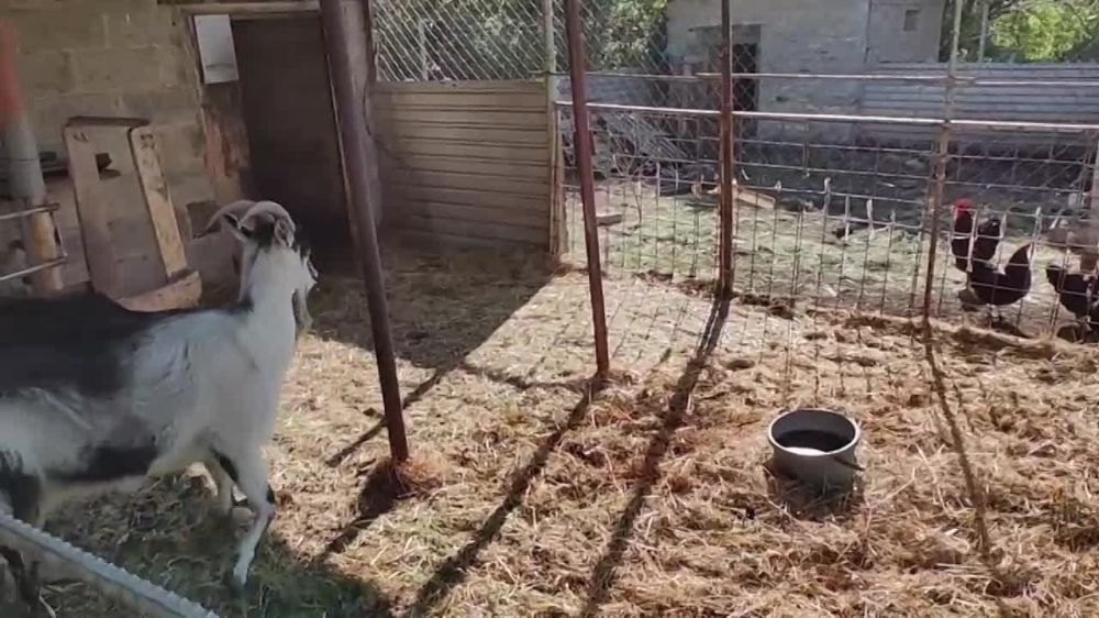 ������ �������� � ���� ��������� ��� ������ ������� ��������� ������� � ���� �� �������� � �� ��������� ���������� ��� ��������� �� ����� � �������� ������