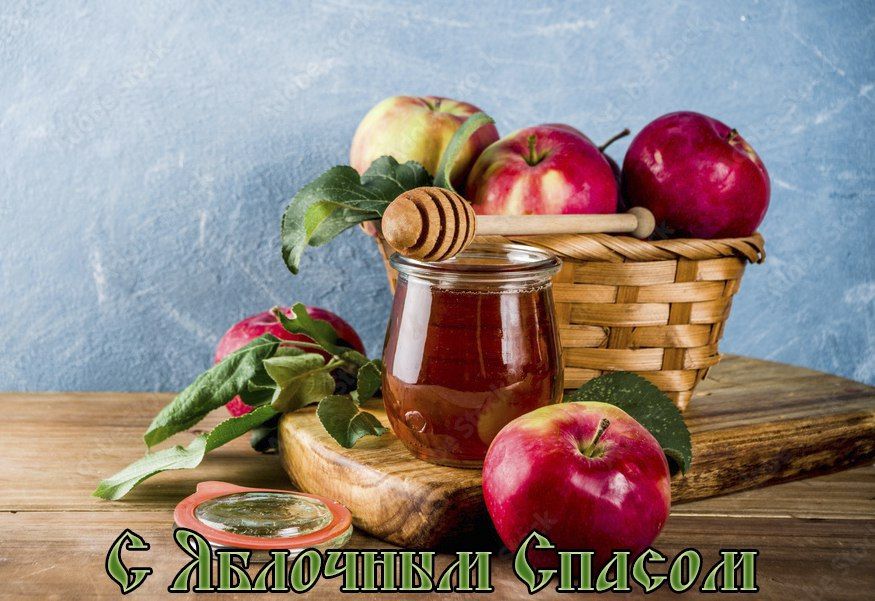 ��������� ��������: ������� ����������!. ������� ��������� ������������ � ������������� ���������! � ���� �� ������ ������...