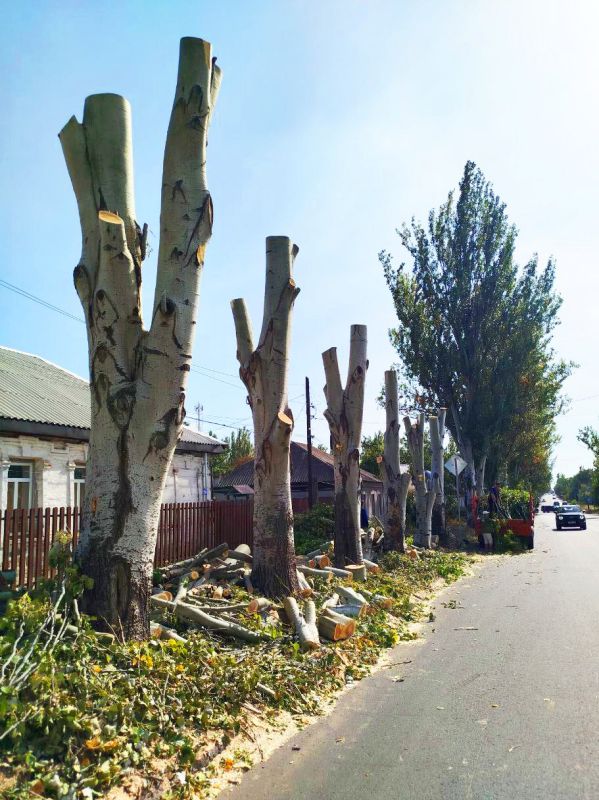 ��������� ��������: ������ �� ������������ ��������� �������� � �������� ���� �� ���������������