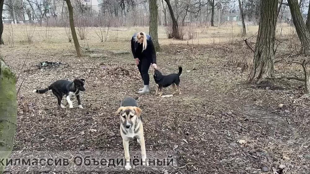 � �������� ������������ ������ �� ������ ������������ ��������