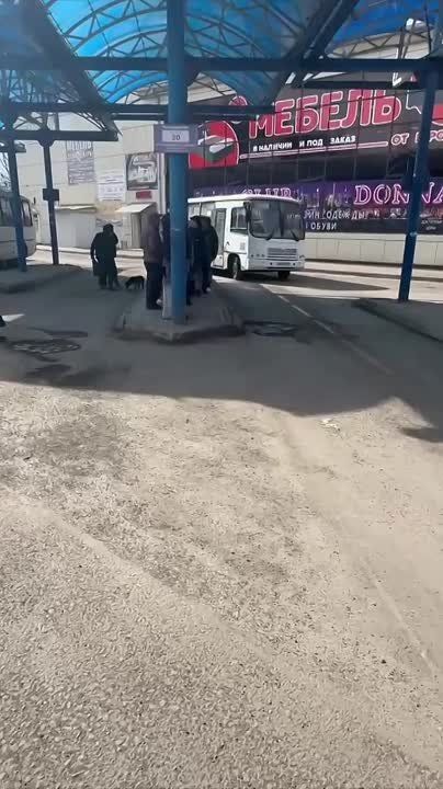 12 ����� ������� ���������� ������������� ���������� ������ �������� ��������� �������� ����������� ���������, ������� ���������� ���������� � ���������� ���������� �������� �������� �� �� ������������������